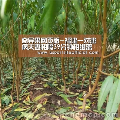 奇异果网页版-福建一对患病夫妻相隔39分钟相继离世(图)(图2) 奇异果网页版