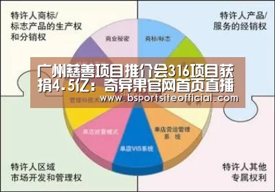 广州慈善项目推介会316项目获捐4.5亿:奇异果官网首页直播(图1) 奇异果官网首页直播